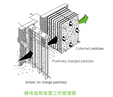 15180969187610.jpg 1.png.jpg